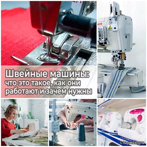 Что такое иглоспин вожак и зачем нужны его иглы