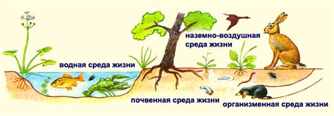 Шаг 1: Изучите среду обитания