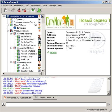 Шаг 1: Установка и настройка Тим Спика 3