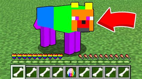 Шаг 3. Приручите радужную собаку