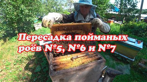 Шаг 7: Использование ловушек и лазеек