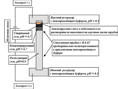 Электрофорез и его принцип работы