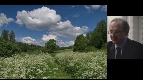 Эстетическое влияние