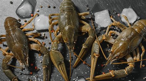  Причины высокой цены 