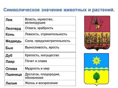  Символическое значение 