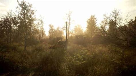 Chernobylite: многопользовательский режим