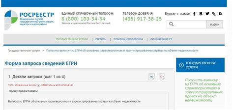 Шаг 4: Получение выписки и анализ предоставленной информации