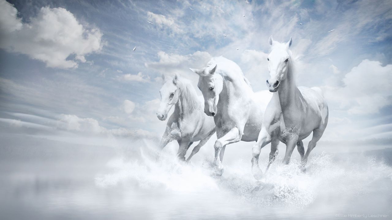 Белый конь при святилище Святовита почитался божественным