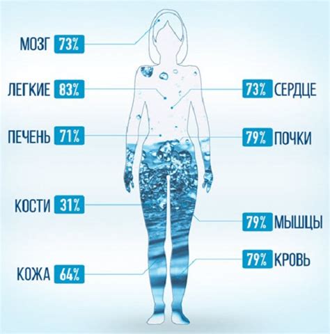 Вода в организме человека