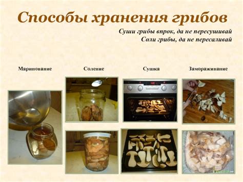 Выбор сухих грибов для хранения
