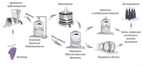 Выгода производства вина