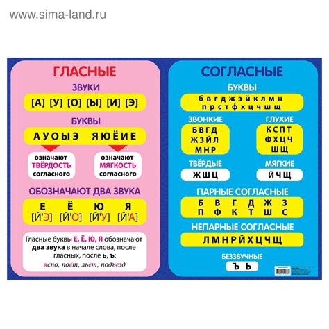 Гласные и согласные на каждой позиции