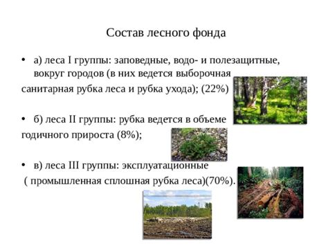 Заповедные леса и богатая флора
