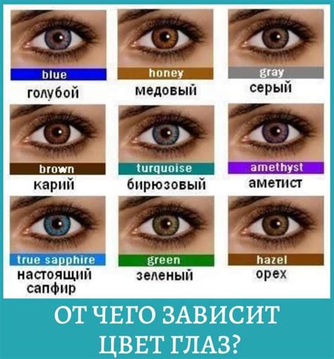 Значение цвета глаз
