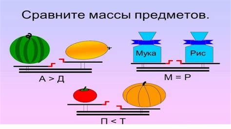 Измерение массы лука в штуках