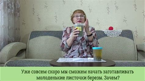 Индикаторы готовности листьев к сбору