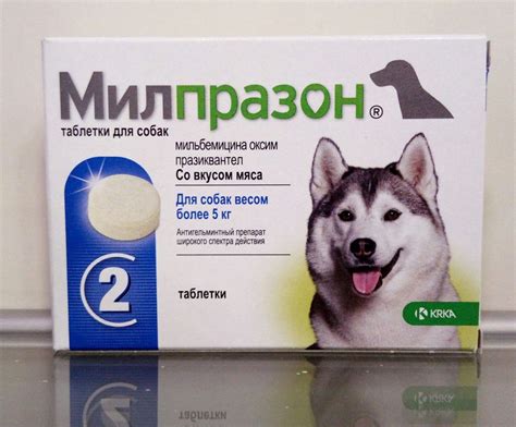 Инструкция по применению препарата для собак