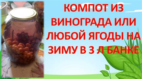 Итоги: количество сухих грибов в 3-литровой банке