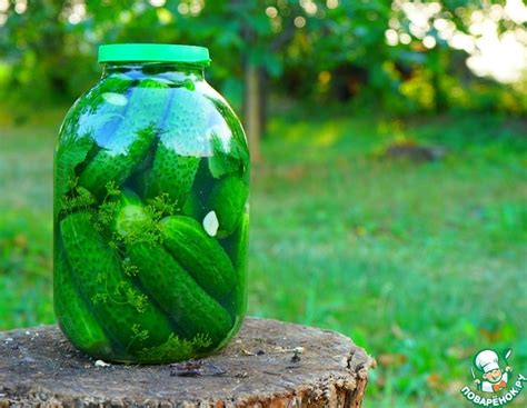 Какой вес имеют огурцы в банке