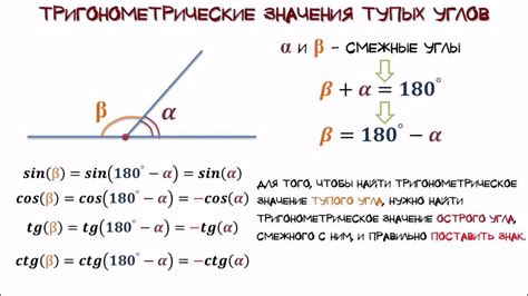 Как вычислить количество тупых углов: