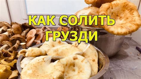 Как правильно расположить грузди в ведре