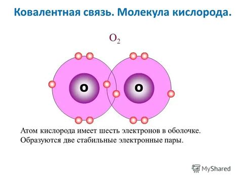 Количество атомов в одной молекуле кислорода