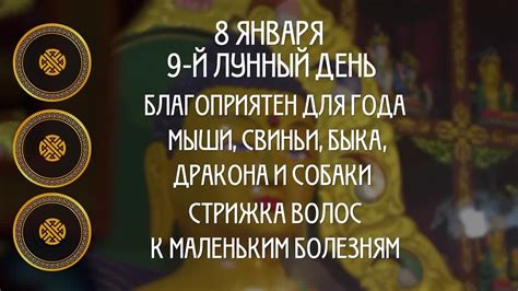 Лучший день для хирургии