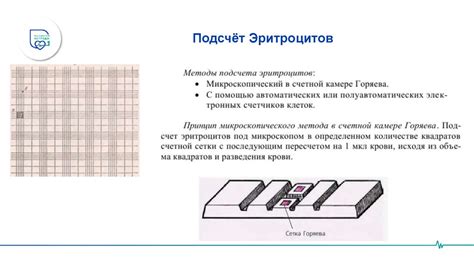Методика подсчета
