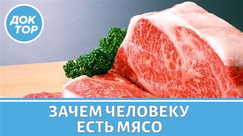 Можно ли есть мясо сразу после приема ивермека