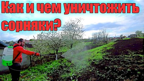 Обработка гербицидом