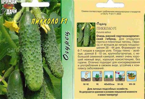 Огурцы: отличие сортов и весовые характеристики