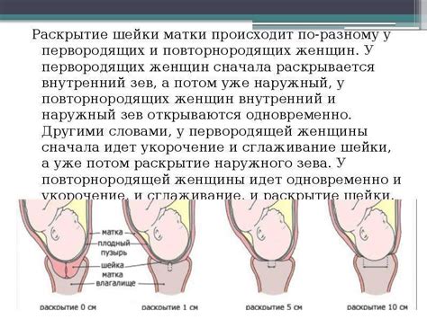 Ожидаемые изменения при раскрытии шейки матки