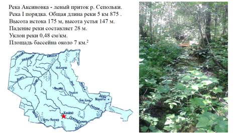 Описание реки Смородины