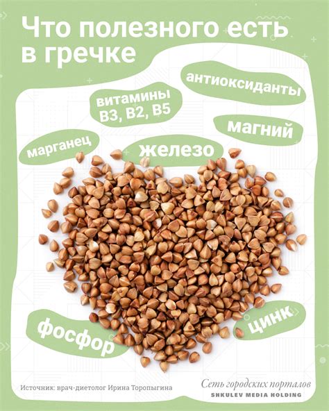 Определение и польза гречки