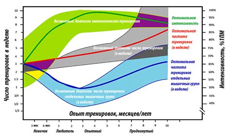 Оптимальная частота давания Смекты собакам