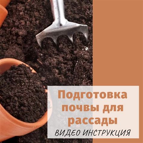 Подготовка почвы для высадки