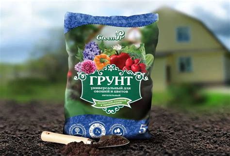 Полезные советы по использованию грунта