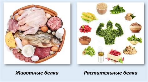 Почему важно не нарушать рекомендации по употреблению мяса после приема ивермека