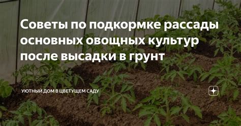 Практические советы по посадке культур после обработки раундапом