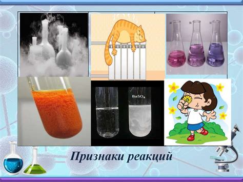 Проведение эксперимента