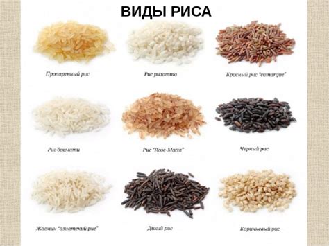 Пропорции при варке риса