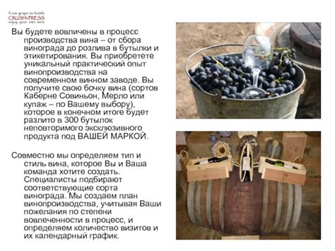 Процесс укладки вина в бутылки