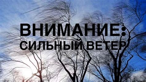 Рекомендации по поведению при сильном ветре