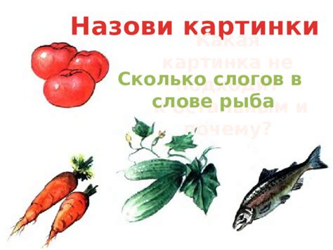 Сколько слогов в слове рыба