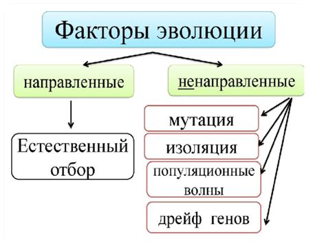 Сырцеобразующие факторы