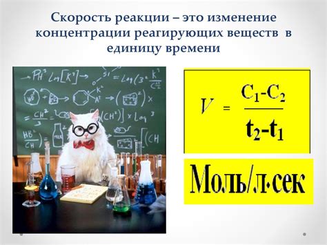 Факторы, влияющие на выход крахмала