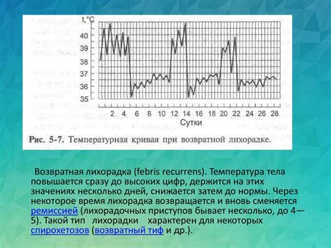 Физическая интерпретация количества кривых линий