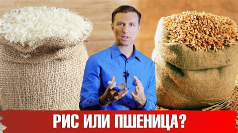 Химический состав риса