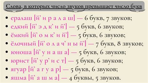 Число букв и звуков в слове музей