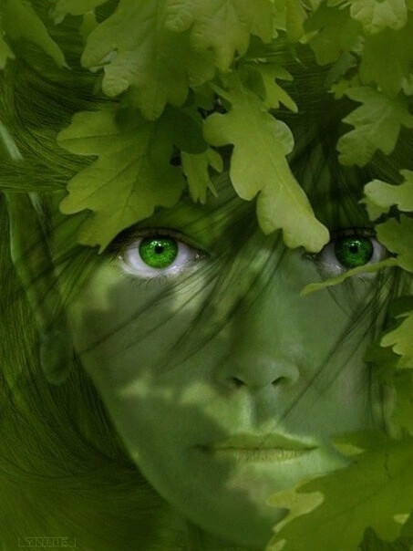 Тара - славянская богиня природы и леса
